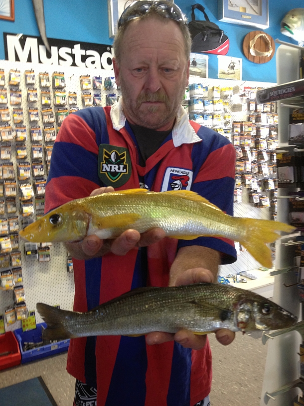 Golden whiting discovery?